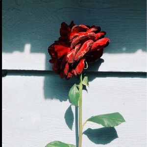 Meet your Posher, Büşra